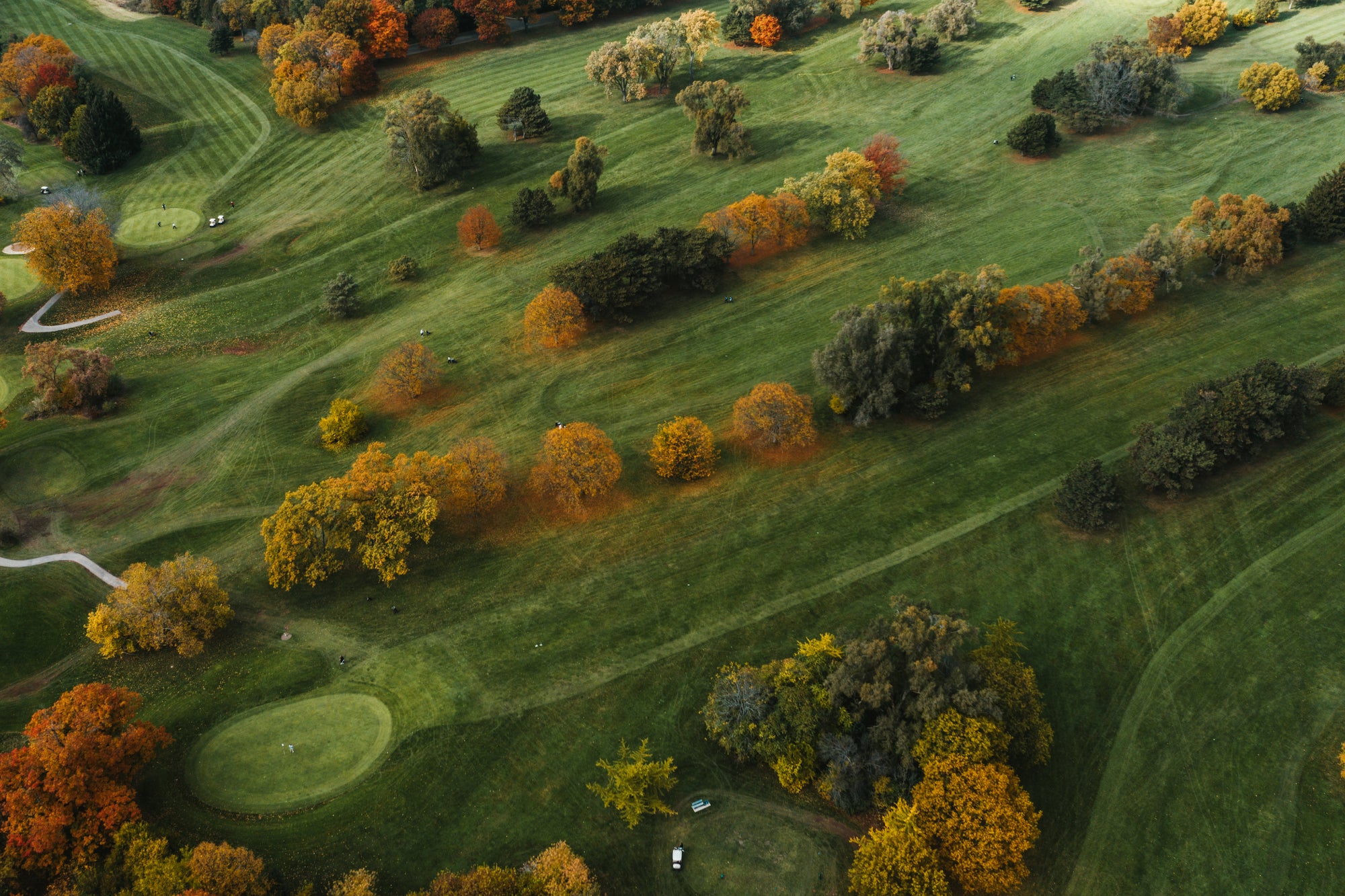 About Empire Golf